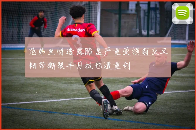 范弗里特透露膝盖严重受损前交叉韧带撕裂半月板也遭重创