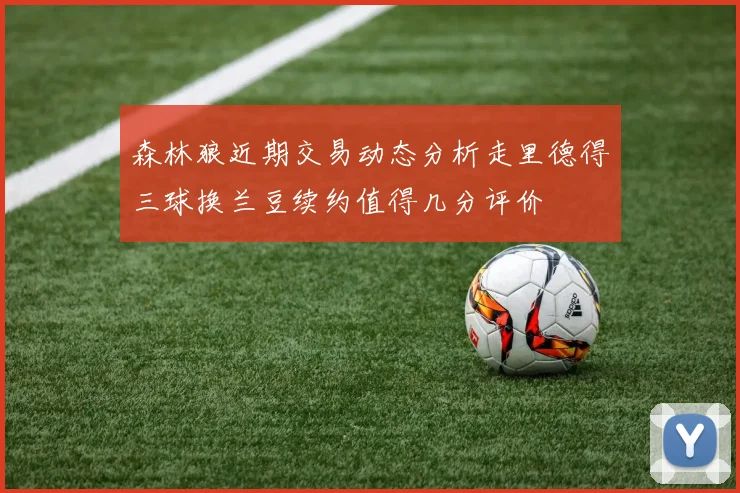 森林狼近期交易动态分析走里德得三球换兰豆续约值得几分评价